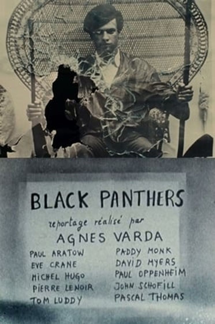 Movie Black Panthers