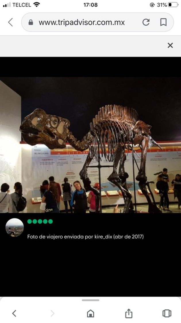 Fashion Museo de Historia Natural (Mexico City) - TripAdvisor