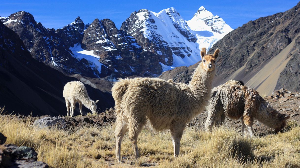 Lugar Cordillera Real