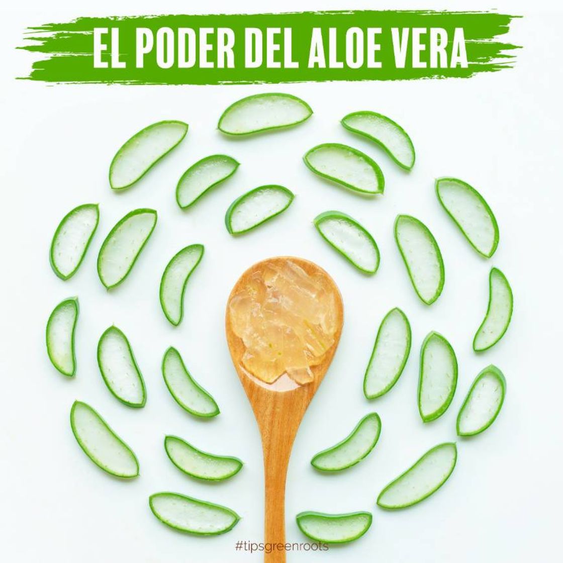 Moda Descubre el poder del #AloeVera, productos naturales