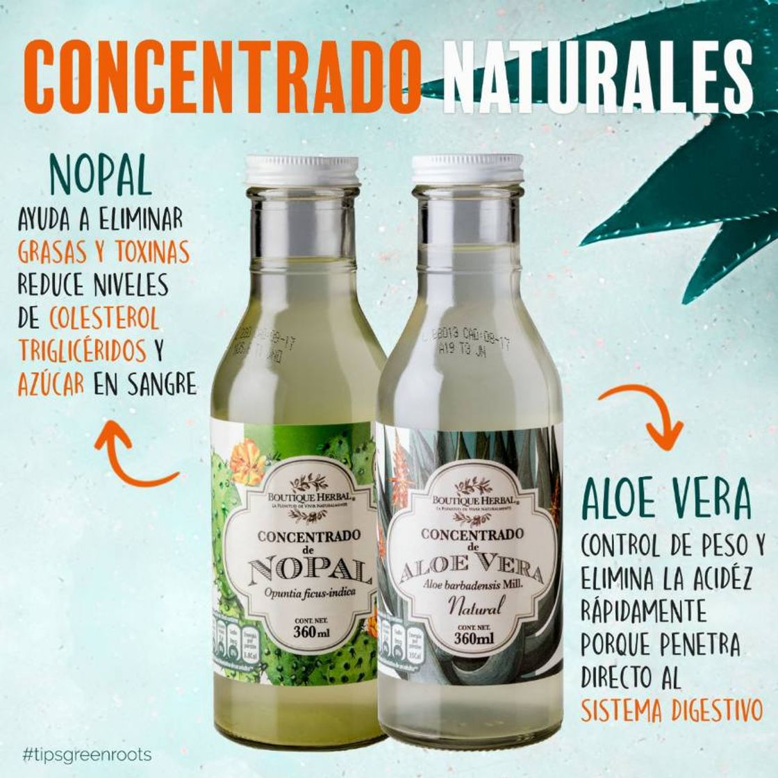 Producto CONCENTRADO DE ALOE VERA ORGÁNICO