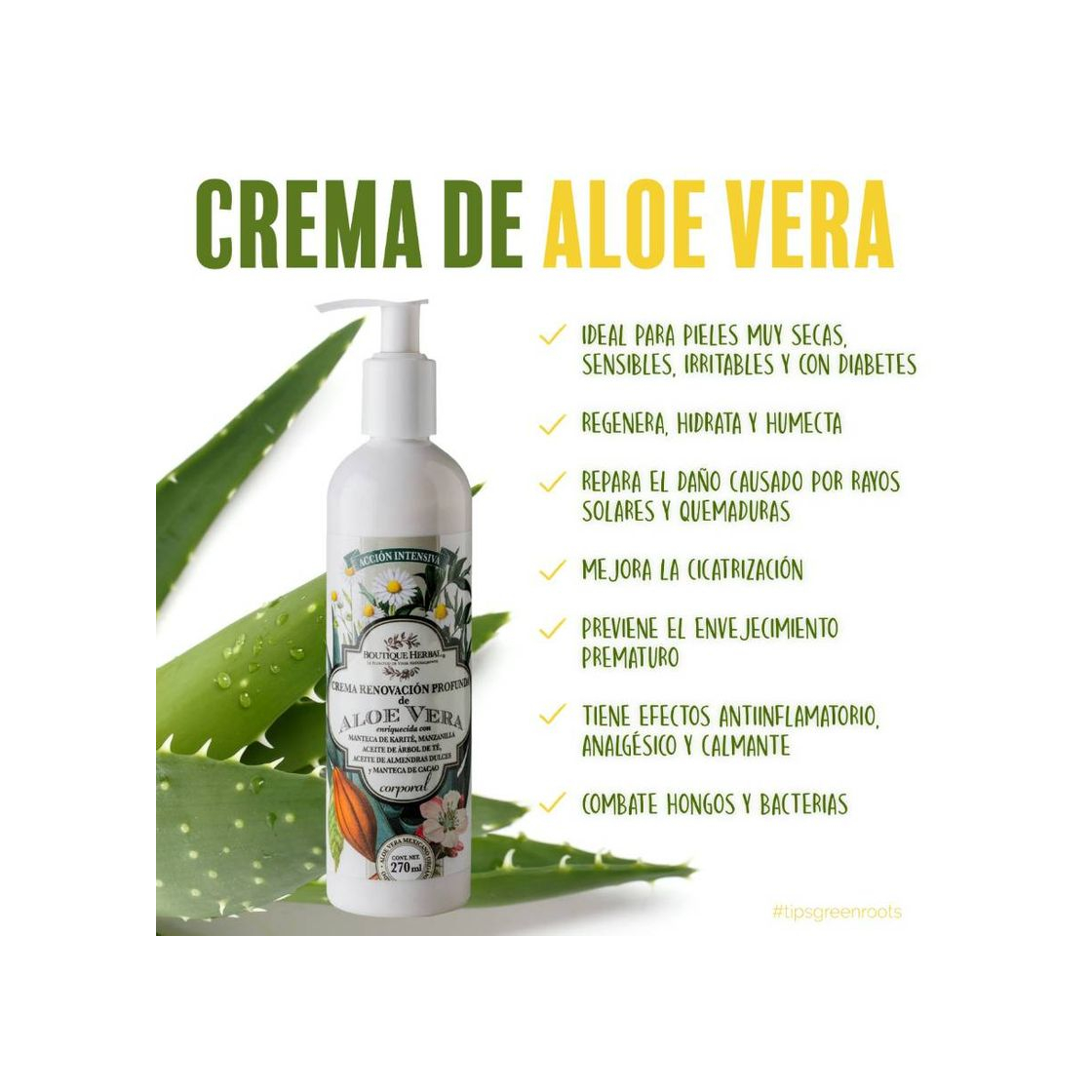 Producto CREMA RENOVACIÓN ALOE VERA ORGÁNICO