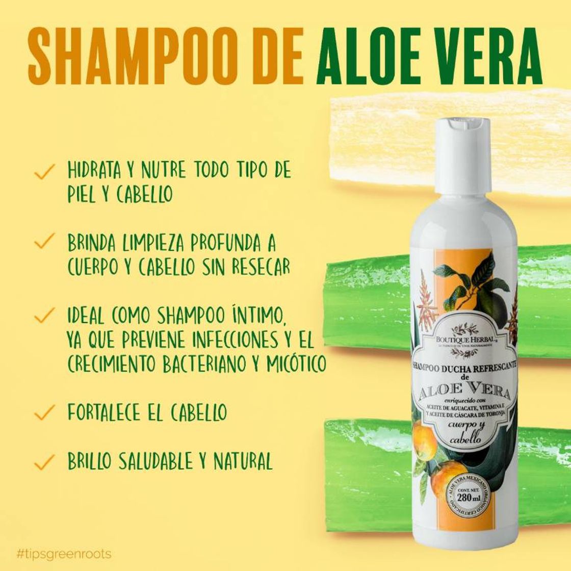 Producto SHAMPOO DE ALOE VERA ORGÁNICO