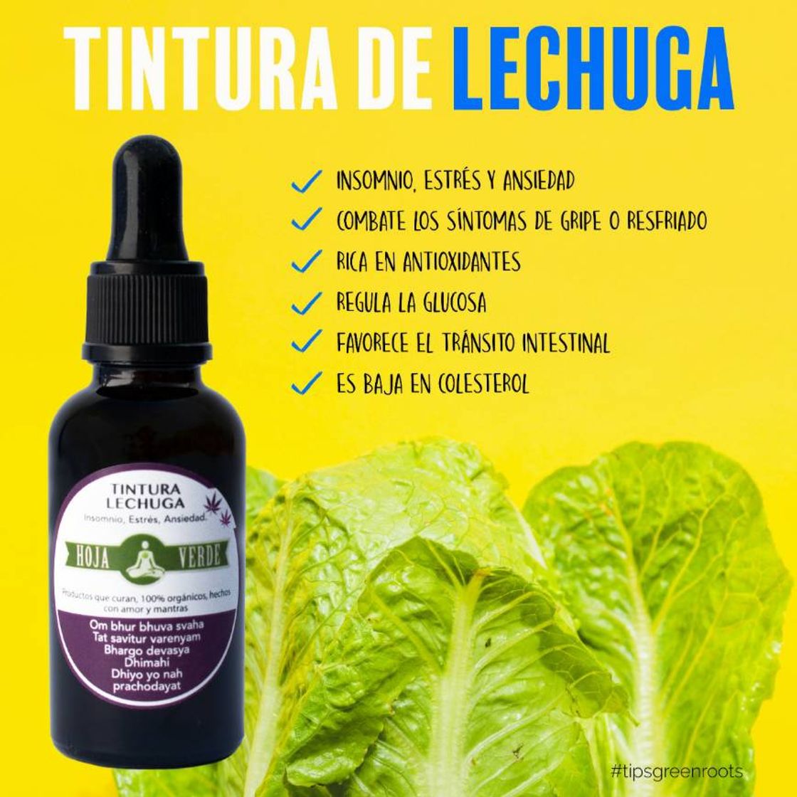 Products Tintura de Lechuga