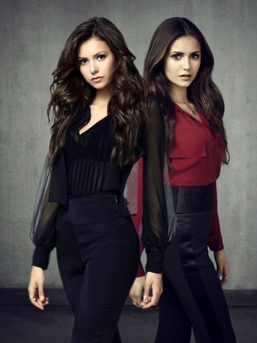 The vampire diares