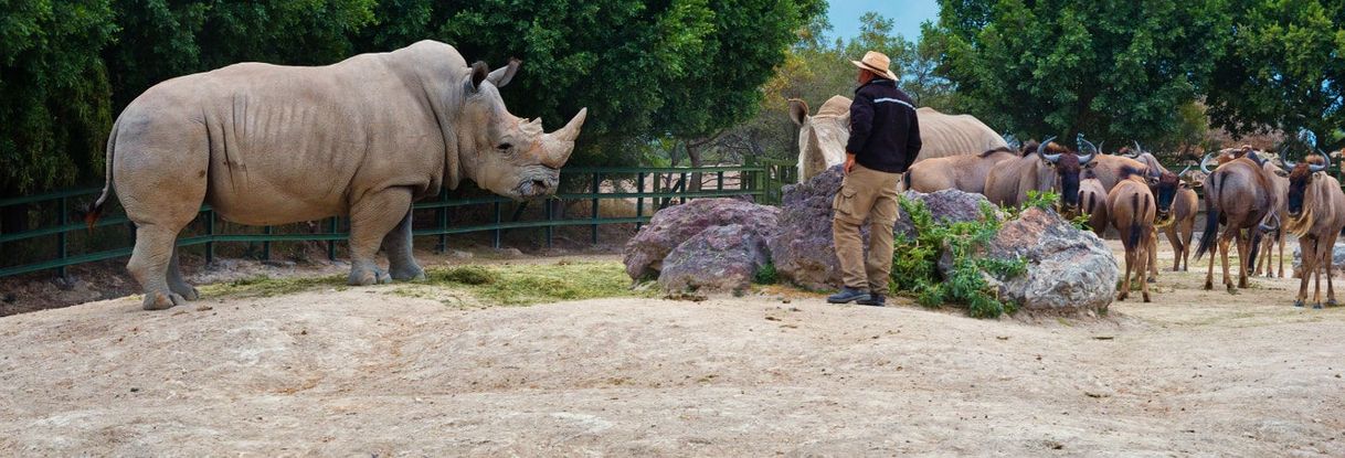 Place Africam Safari