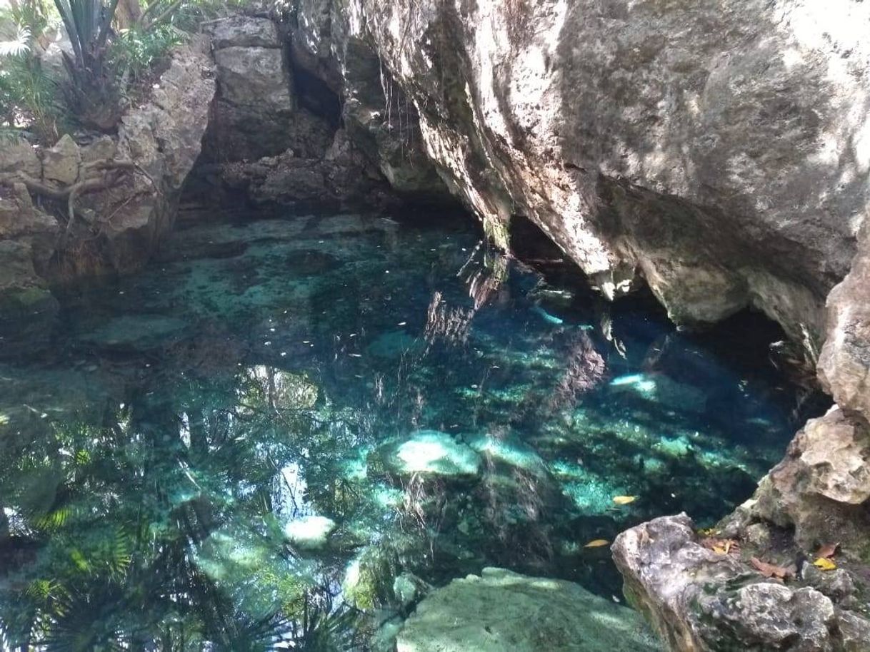 Lugar Cenote Azul