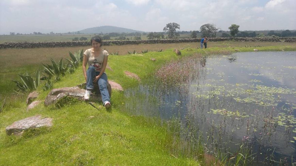 Lugar Amealco de Bonfil