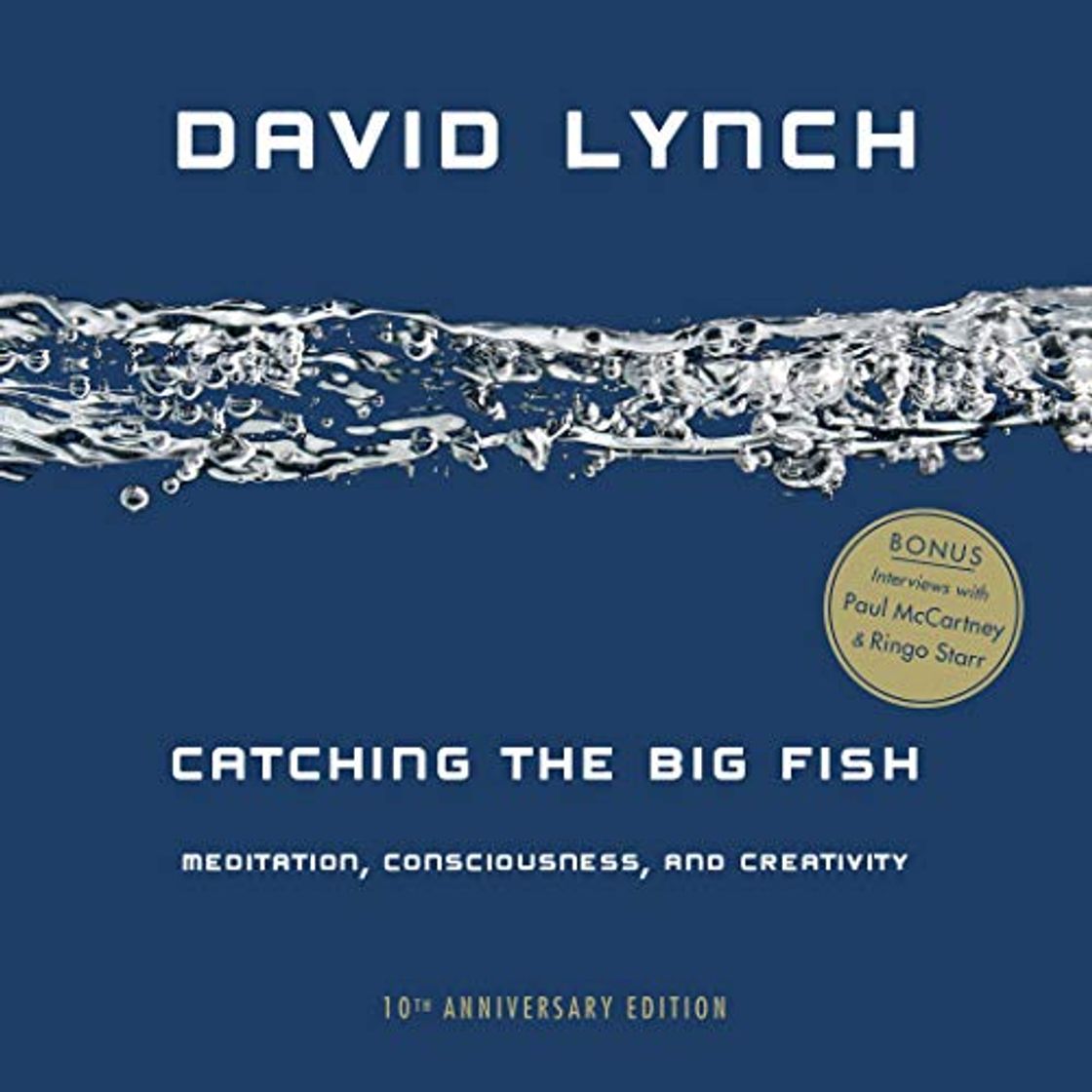 Book Catching The Big Fish