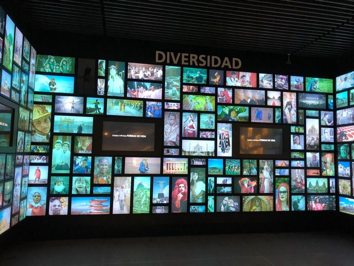 Lugar Museo Memoria y Tolerancia