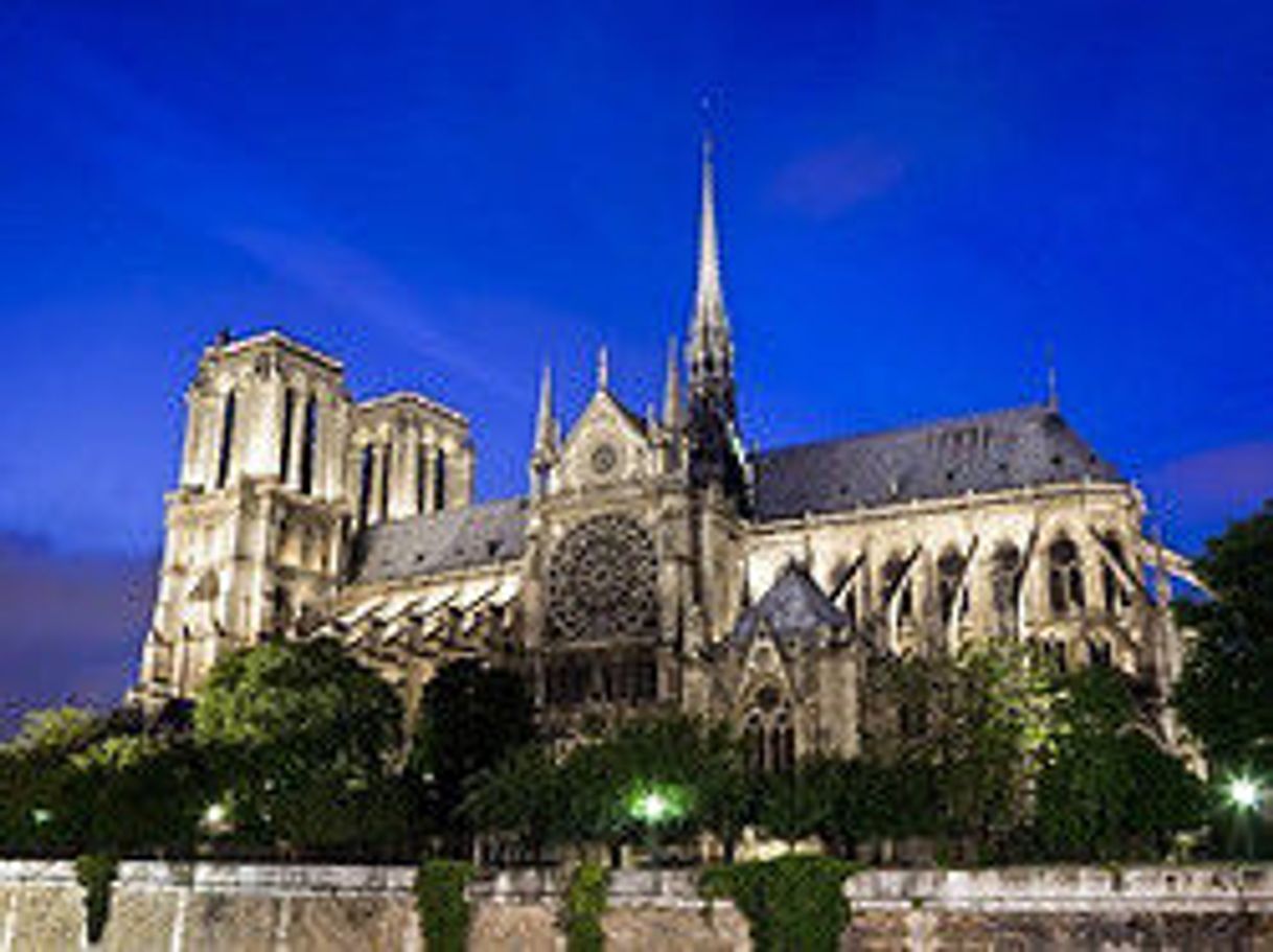 Lugar Catedral de Notre Dame