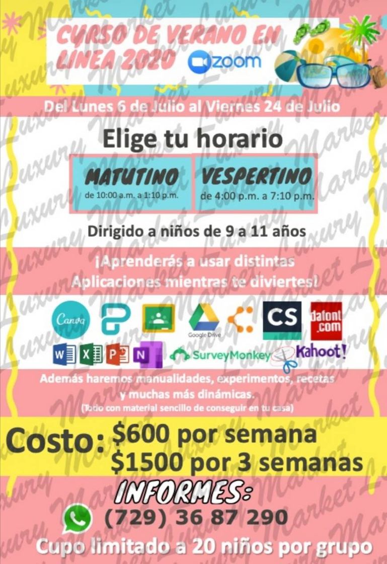 Curso de Verano en linea