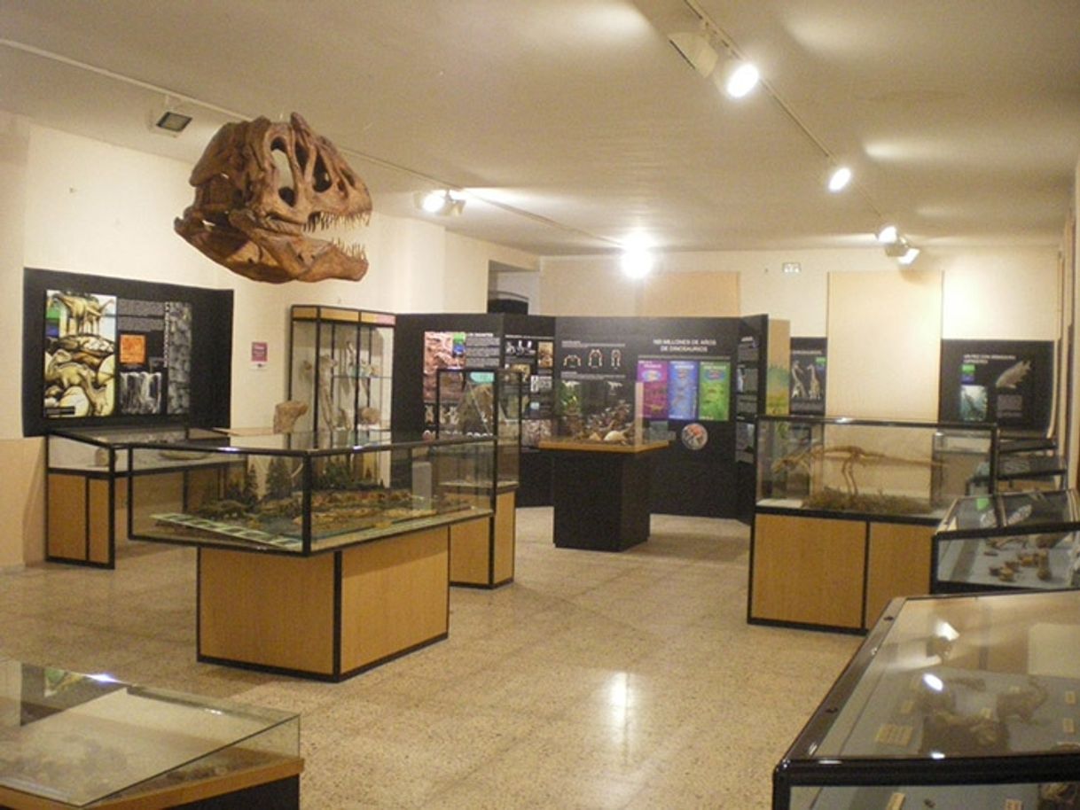 Place Regional Museum of Ica Adolfo Bermúdez Jenkins