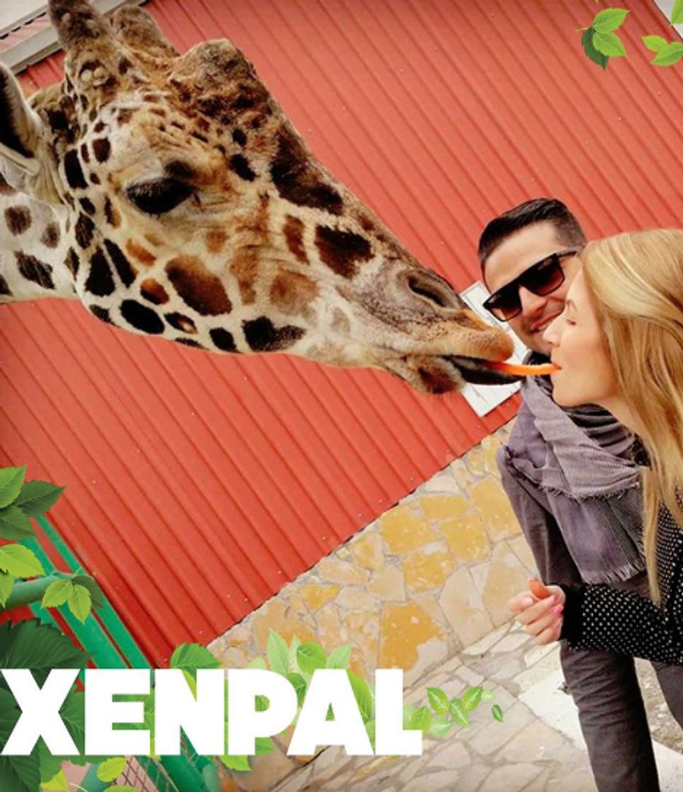 Restaurants Xenpal