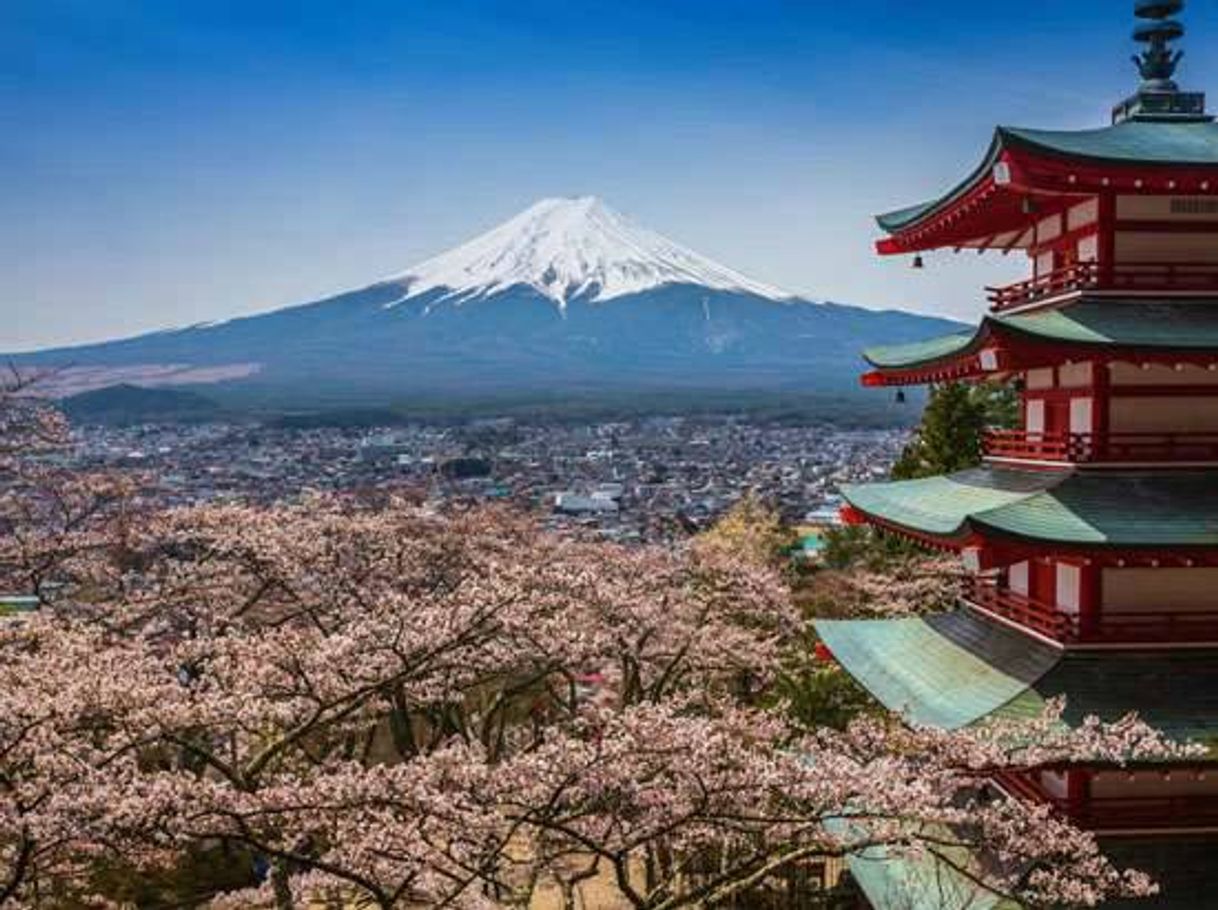 Place Mount Fuji