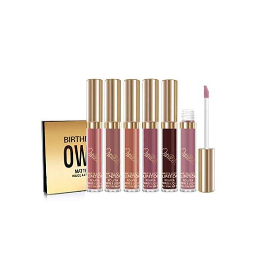 Ownest 6 Colores Mate Lápiz Labial Líquido Lápiz Labial Brillo Impermeable Larga