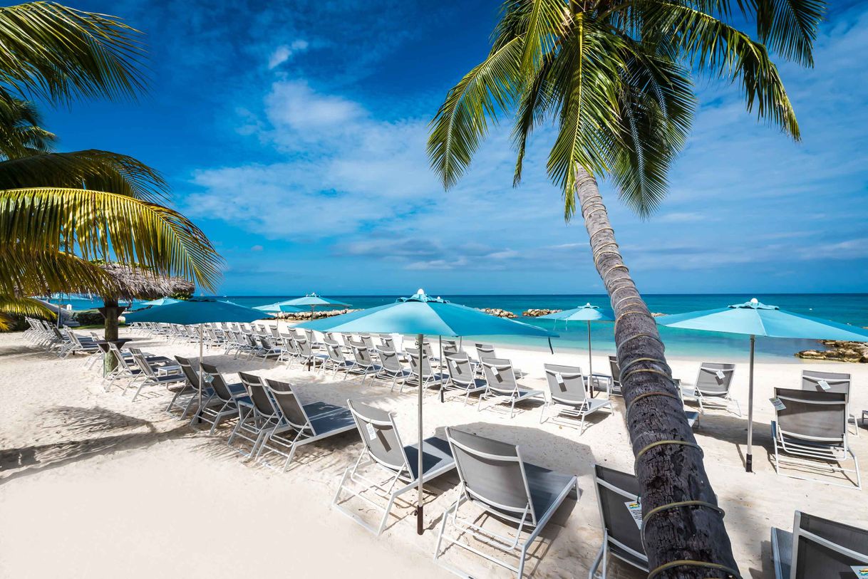 Lugar Margaritaville Beach Resort Grand Cayman