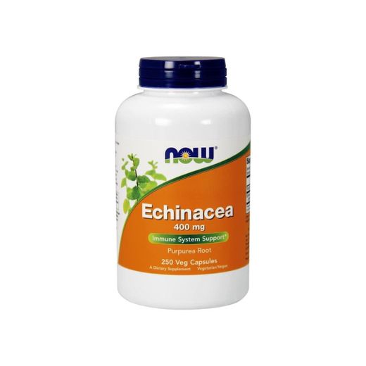 Echinacea refuerza tu Sistema Inmune 
