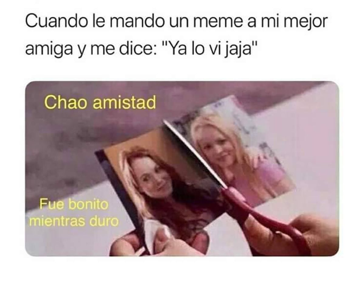 Social Jajsja