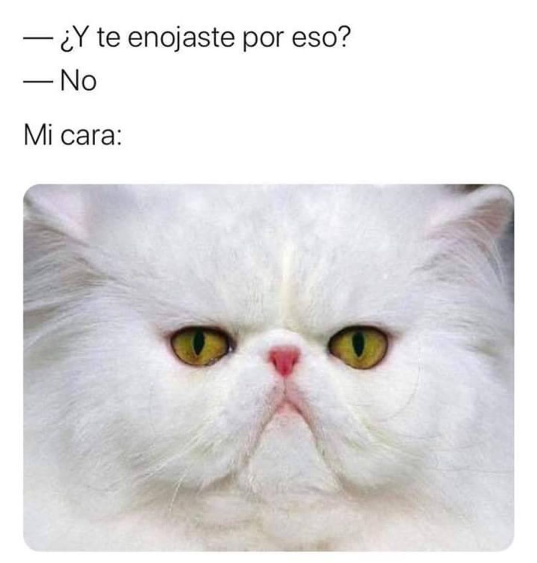 Social Sígueme en instagram 