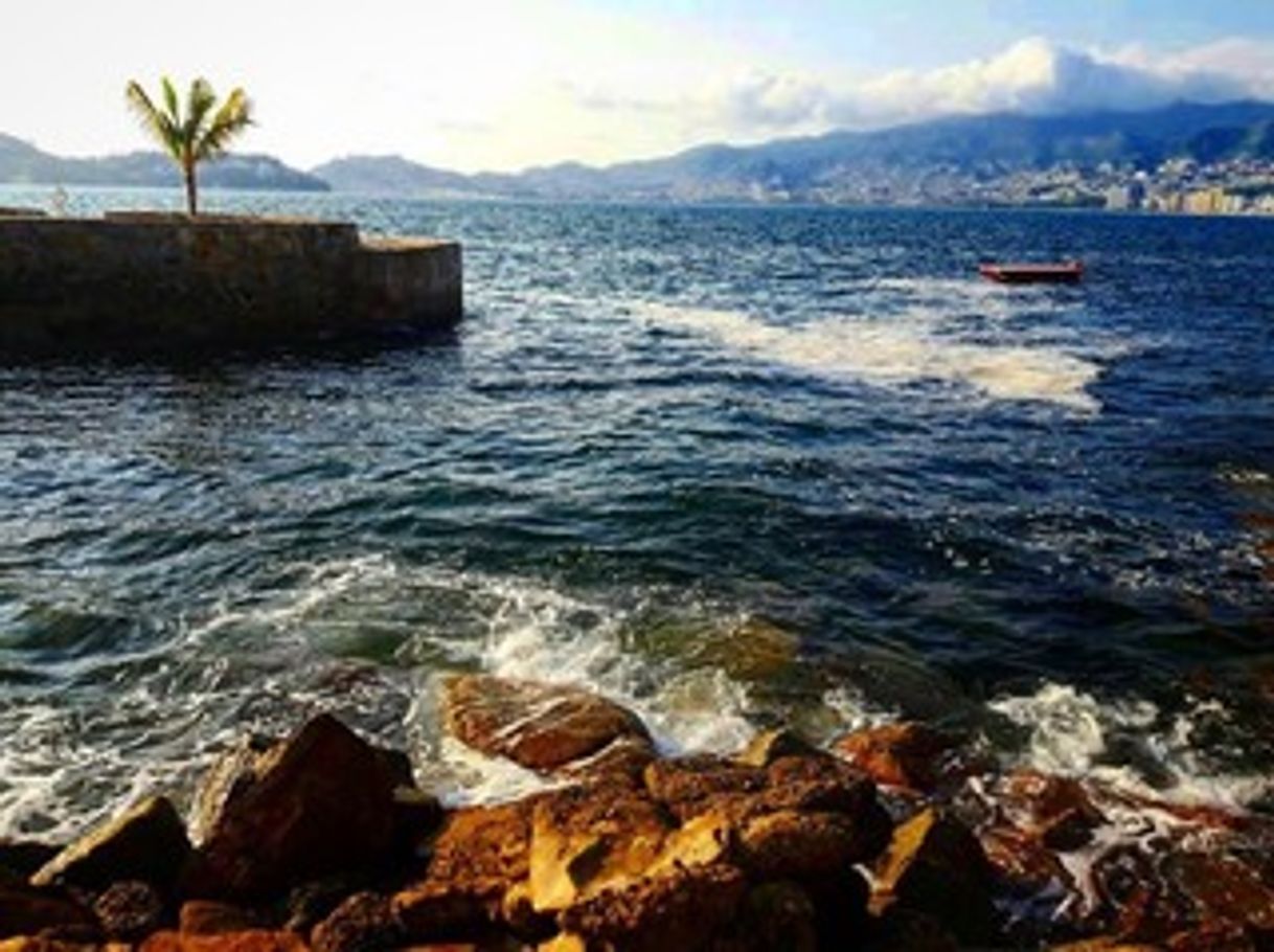 Place Acapulco Diamante O Playa Diamante