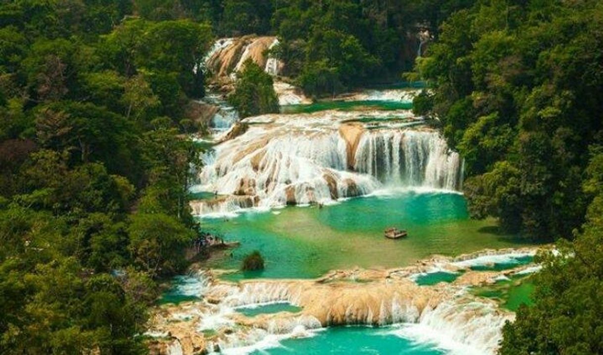 Lugar Cascadas de Agua Azul