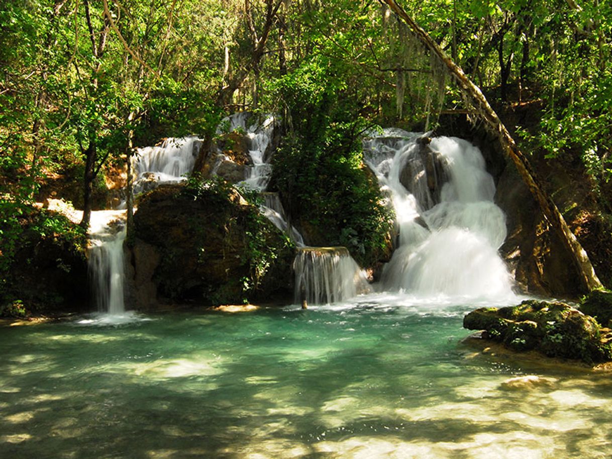 Places Parque El Salto