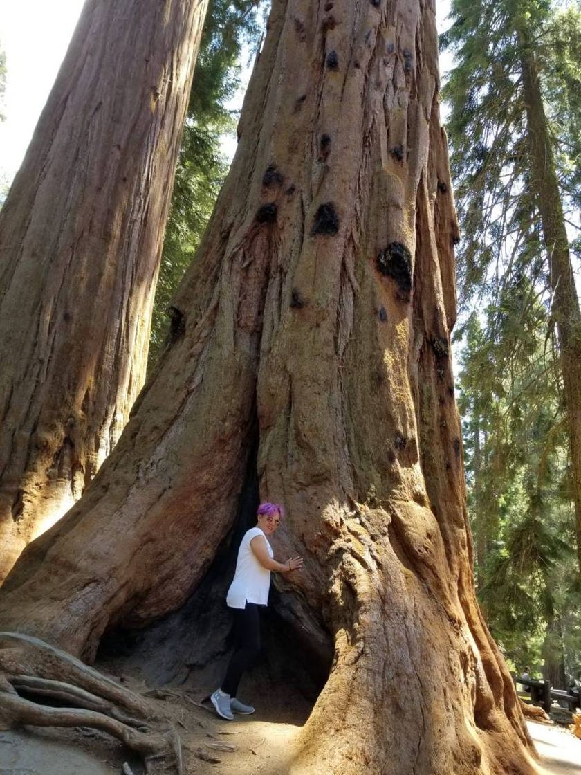 Place Sequoia National Park