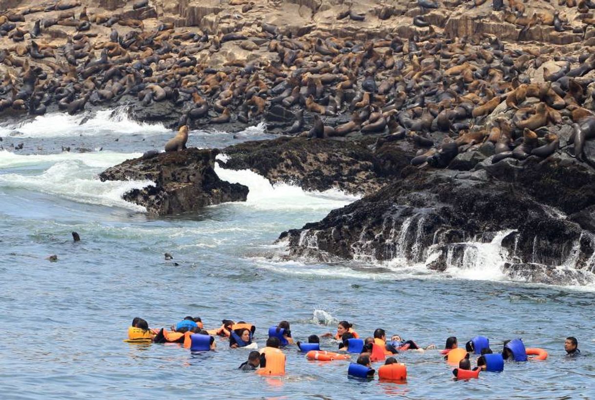 Lugar ECOTURISMO ISLAS DEL CALLAO S.A.C.