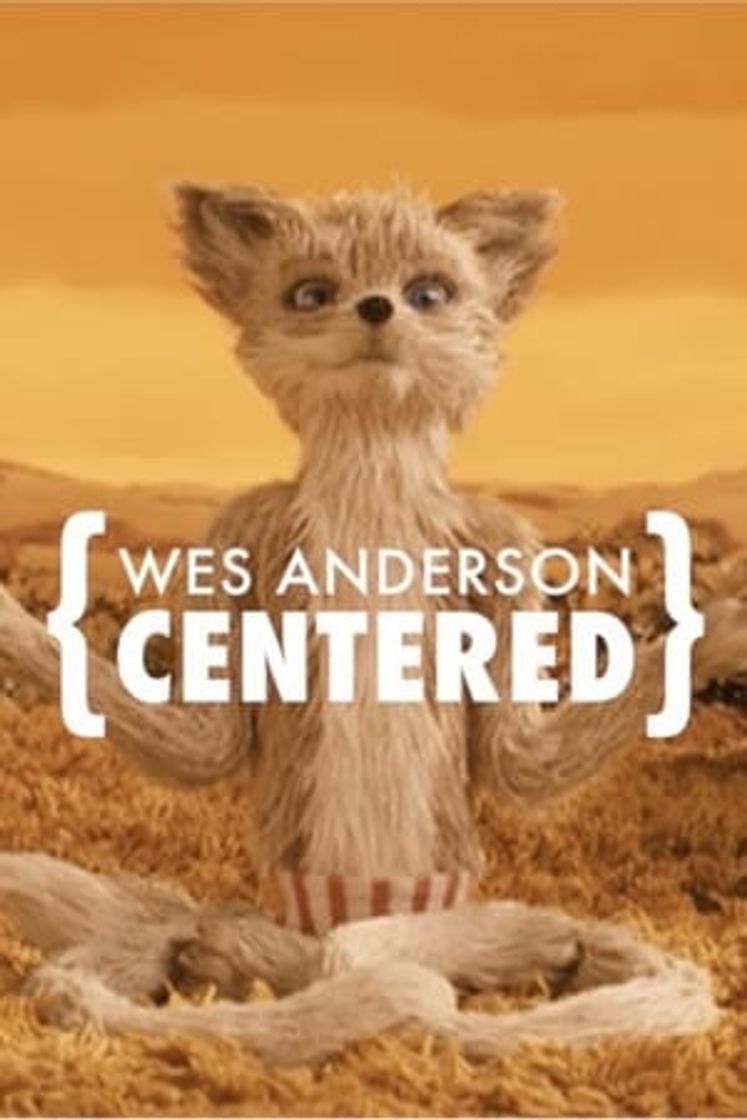 Películas Wes Anderson: Centered