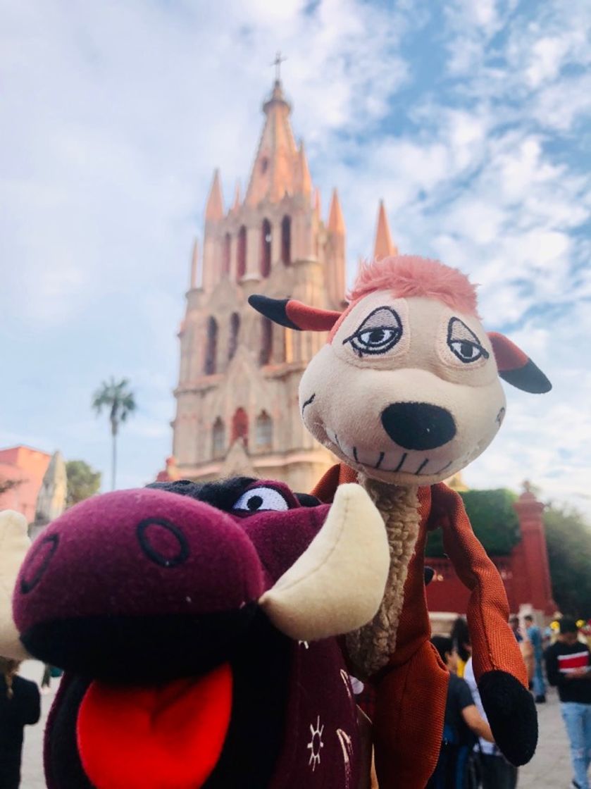 Lugar San Miguel de Allende