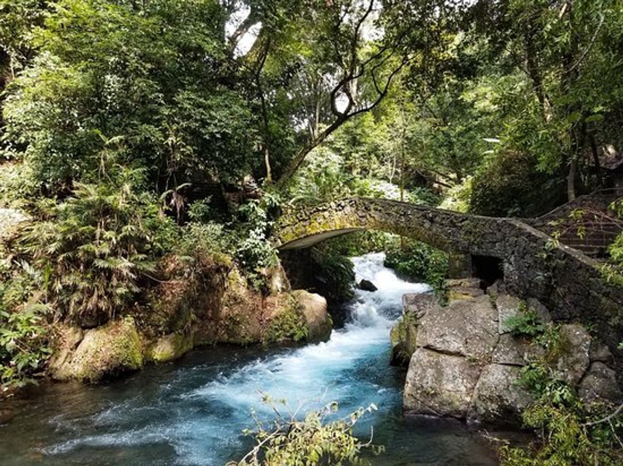 Place Parque Nacional Barranca del Cupatitzio