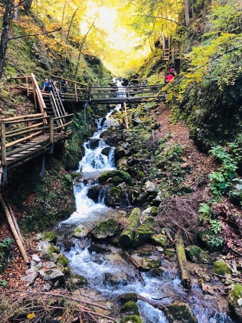 Place Dr. Vogelgesang Klamm