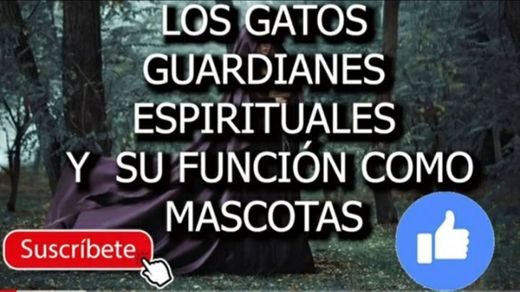 GATOS GUARDIANES Y ESPIRITUALES. 👁👄👁