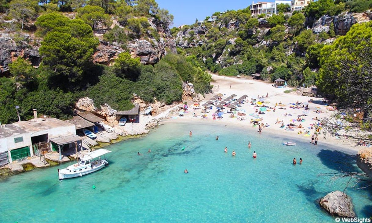 Place Playa de Cala Pi