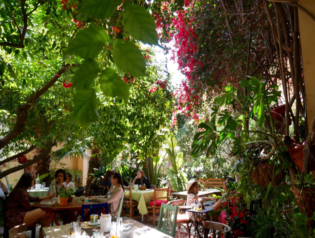 Restaurants Temple Natura Cafè