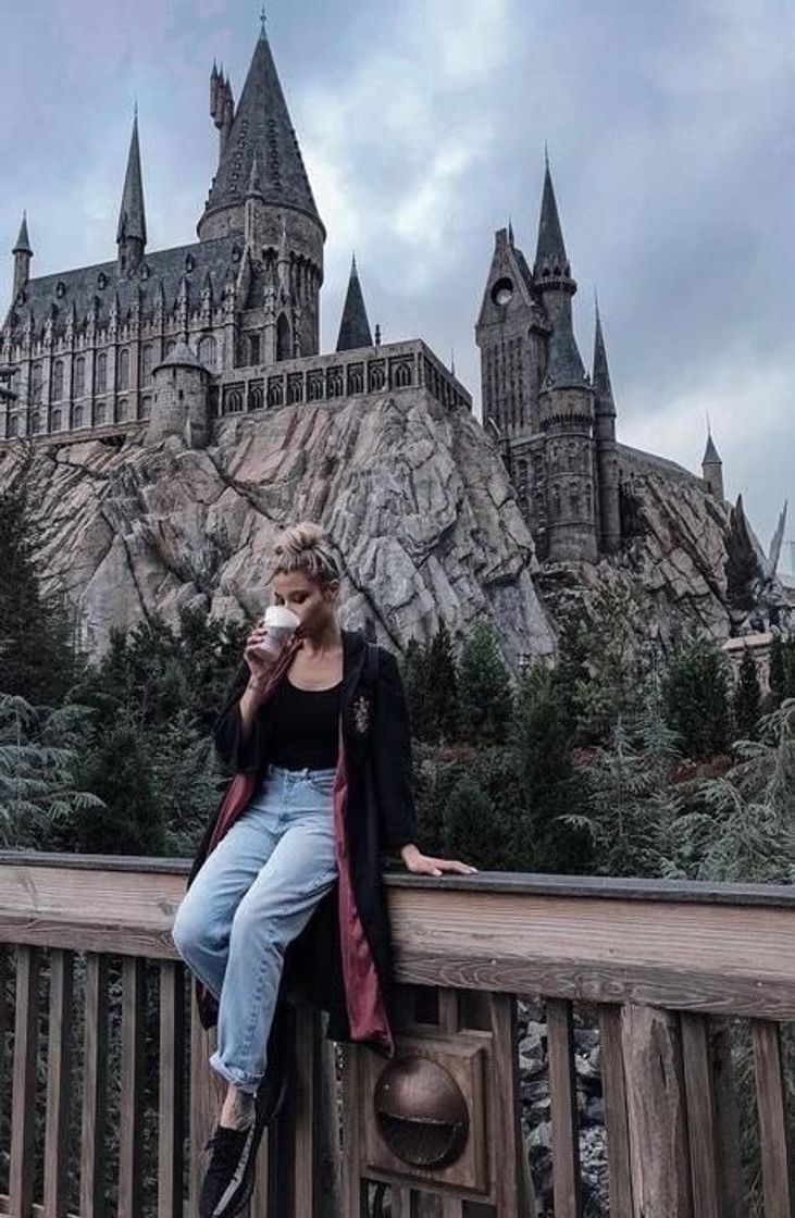 Place The Wizarding World Of Harry Potter