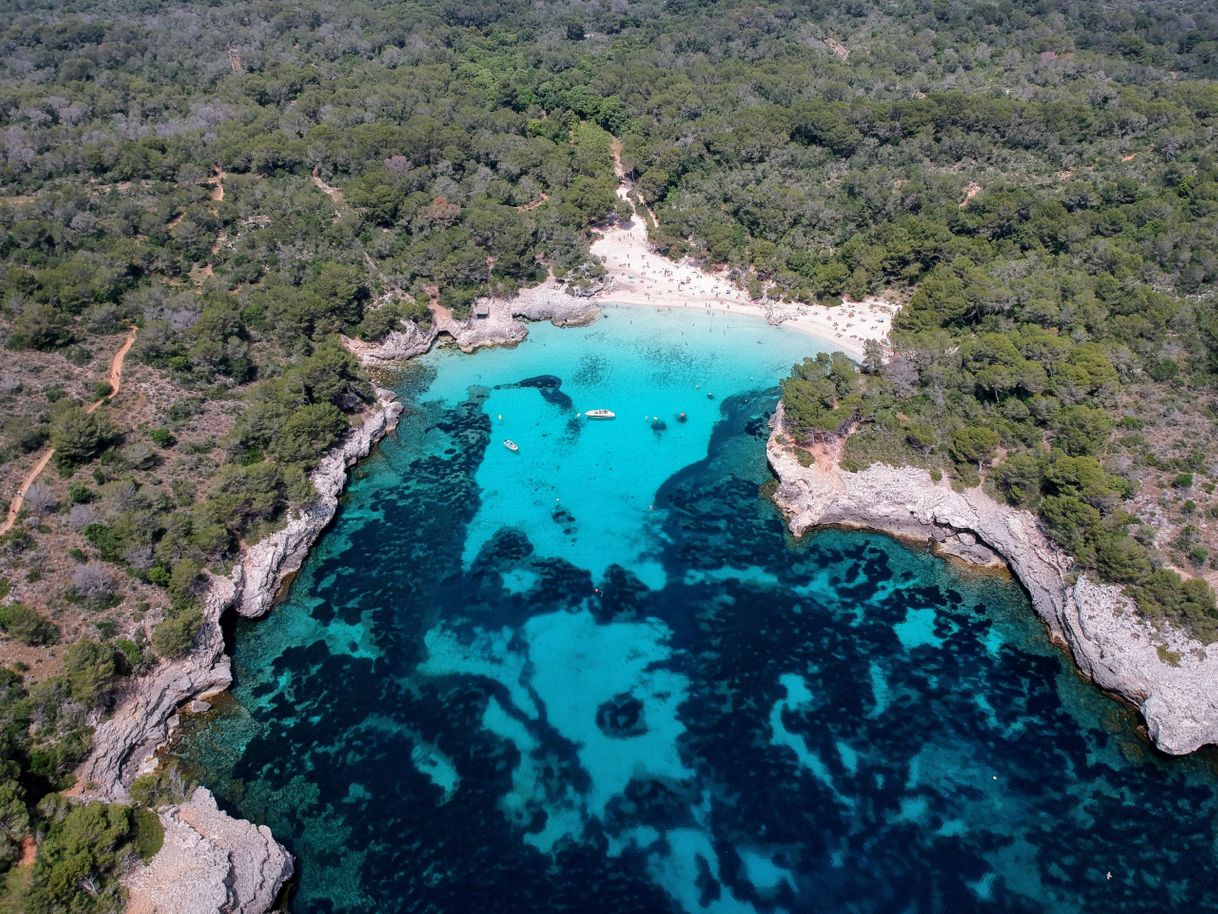 Lugar Cala en turqueta