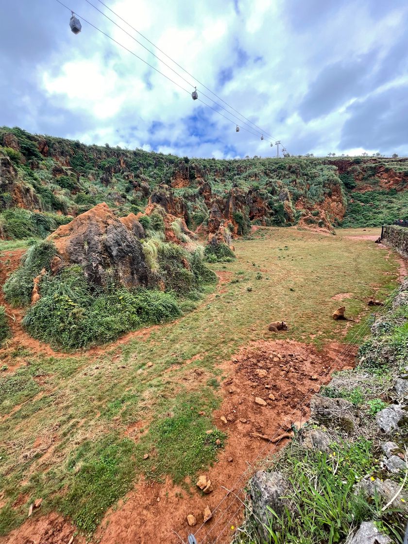 Place Parque de la Naturaleza de Cabárceno