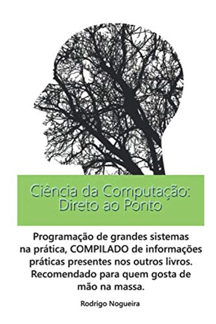 Book Ciência da Computação: Direto ao Ponto: Compilado prático sobre arquitetura e desenvolvimento