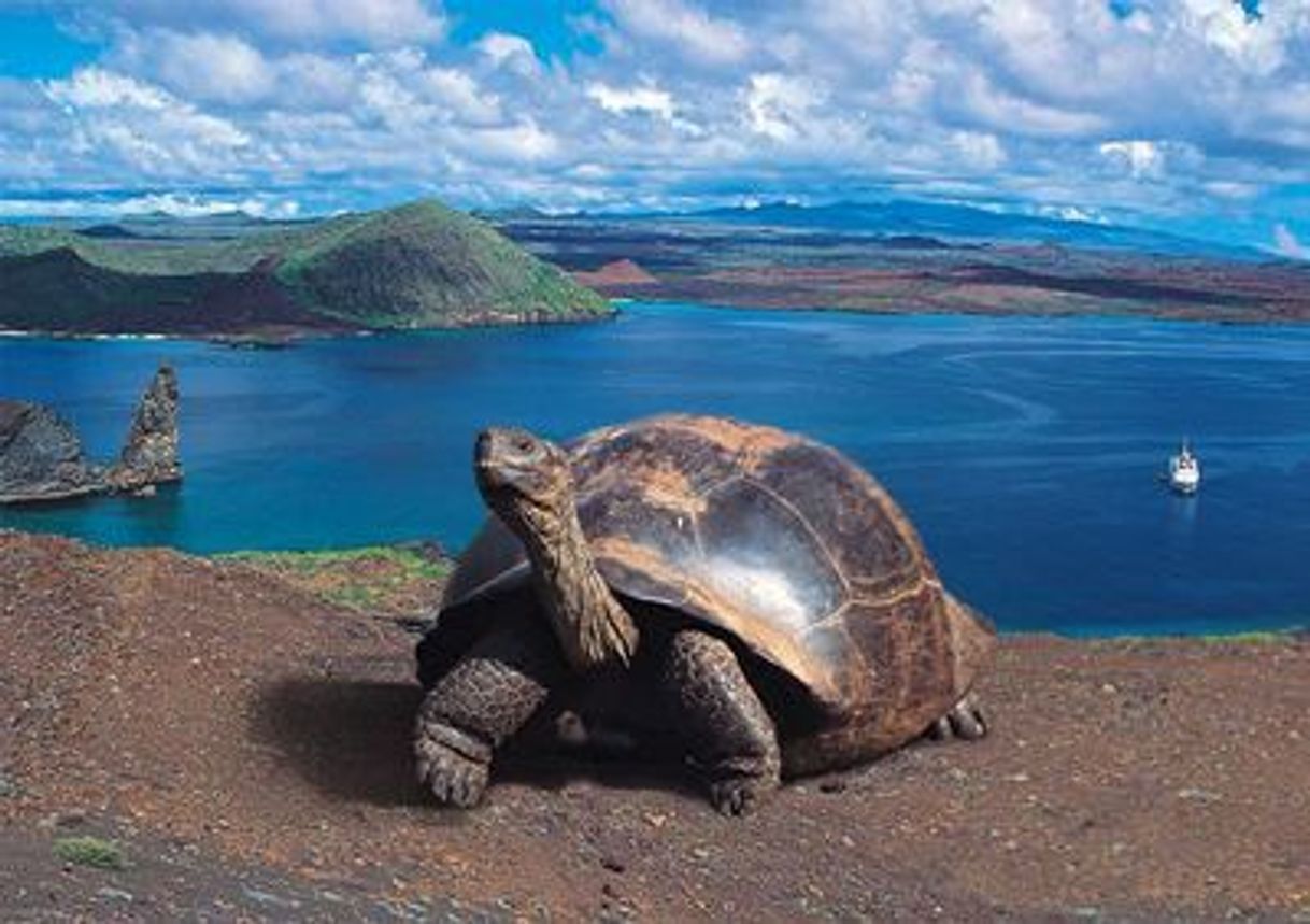 Lugar Galapagos Islands