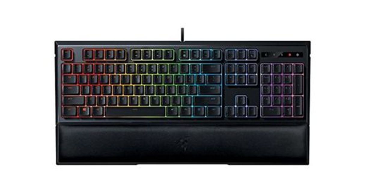 Social Razer Ornata Chroma