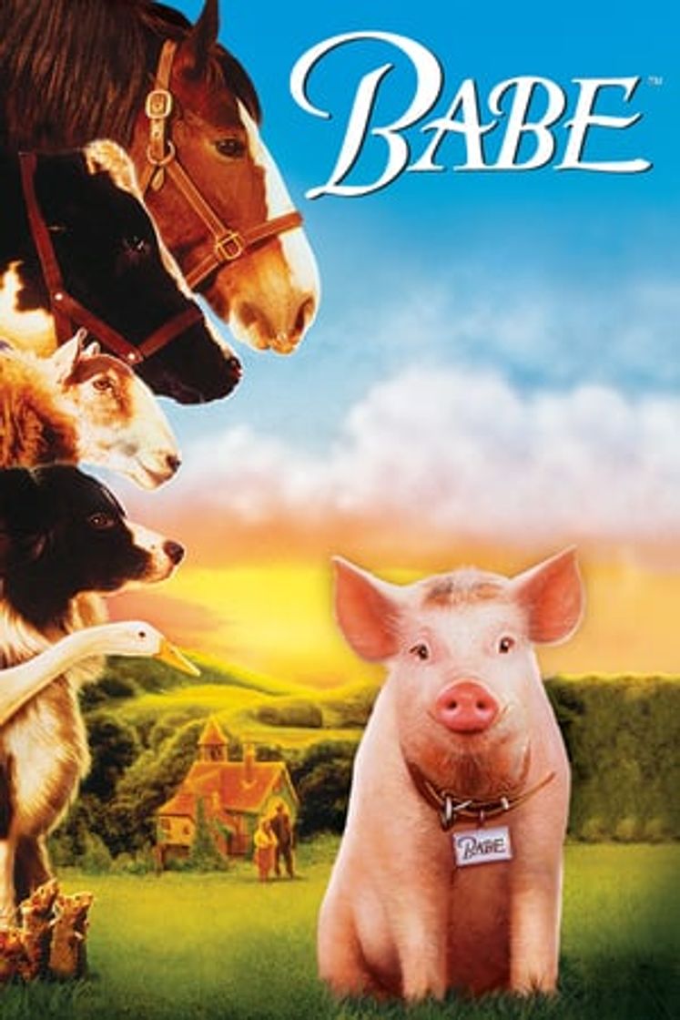 Película Babe, el cerdito valiente