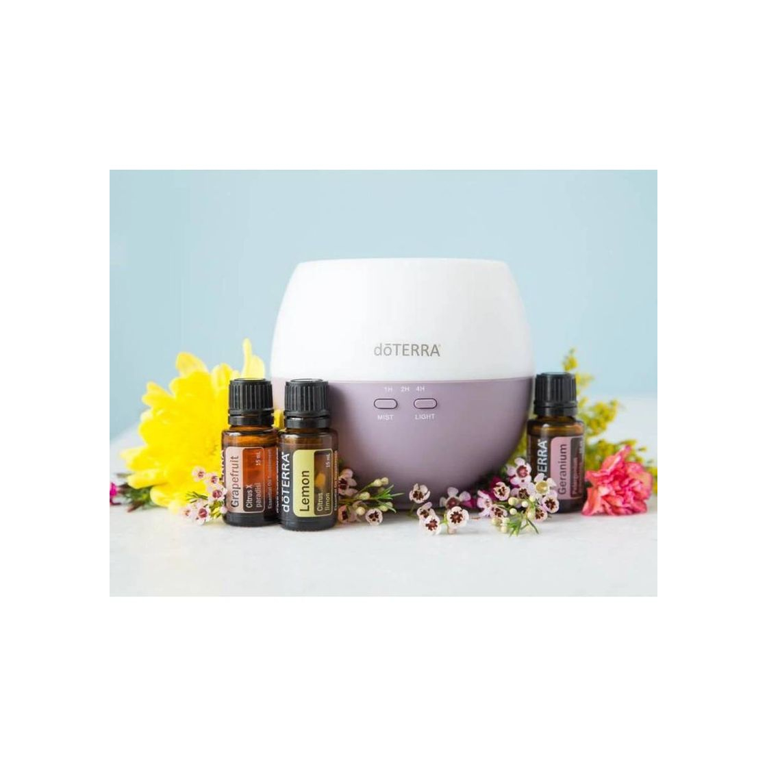 Belleza doTERRA Essential Oils Introductory Kit de 3 aceites.