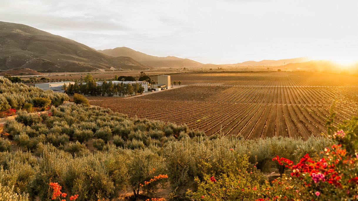 Lugar Valle de Guadalupe