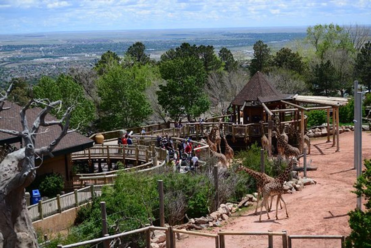 Lugar Cheyenne Mountain Zoo