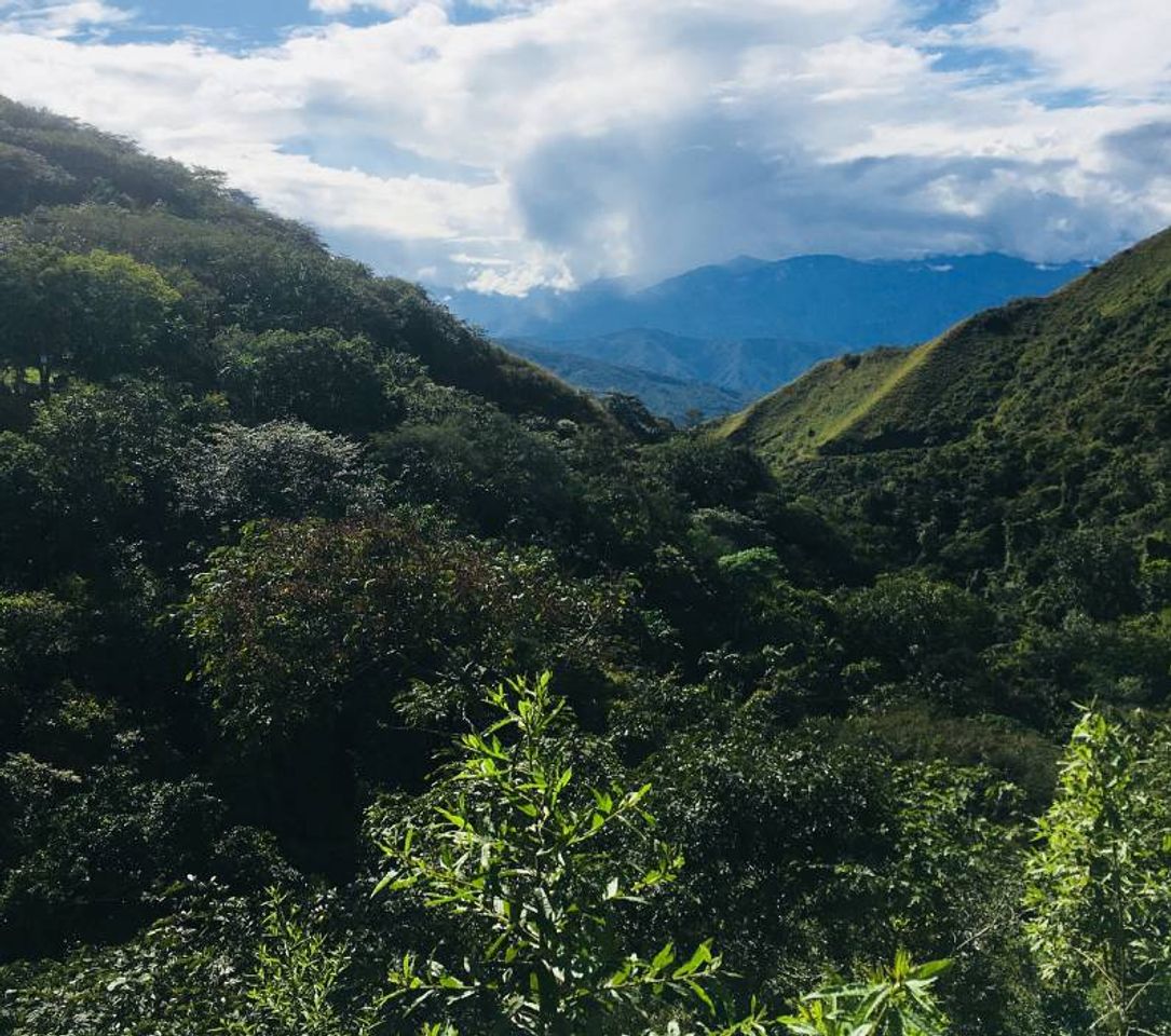 Place Medellín