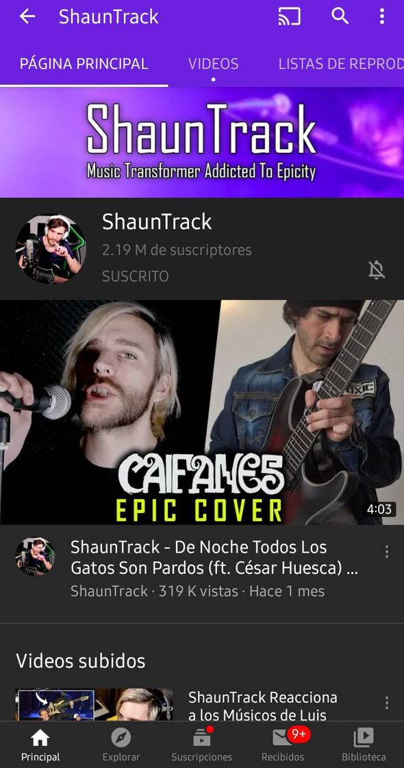 Moda ShaunTrack