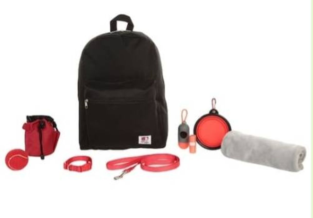 Kit de paseo para perro