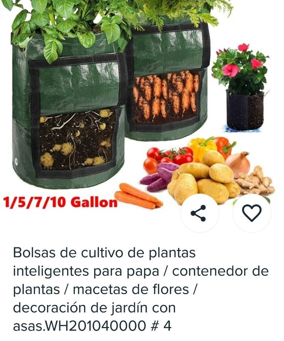 Fashion Bolsa de plantación para pared!